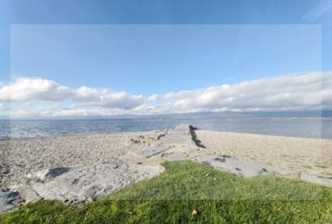 Magnifique appartement à Champel