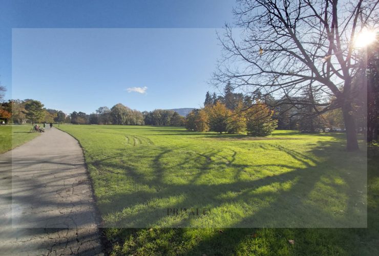 Magnifique appartement à Champel